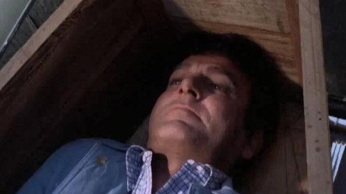 Mannix Season 8 Episode 21 - Bird of Prey (2)