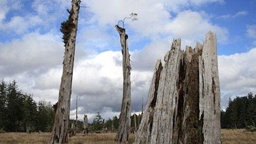 Superscience Season 4 Episode 11 - Ring of Fire