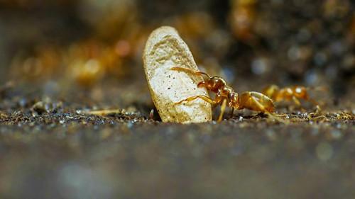 Springwatch Season 14 Episode 3 - Episode 3