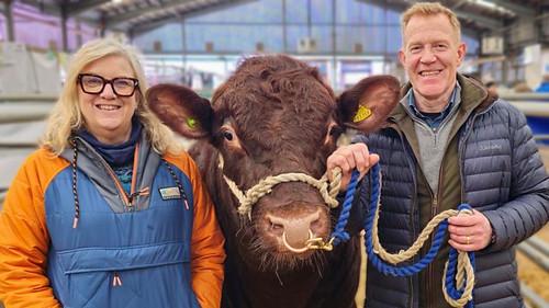 Countryfile Season 38 Episode 8 - Stirling Bull Sales