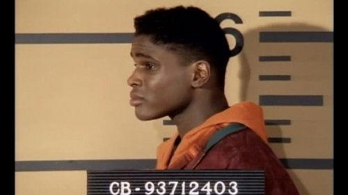 Family Matters Season 3 Episode 15 - Jailhouse Blues