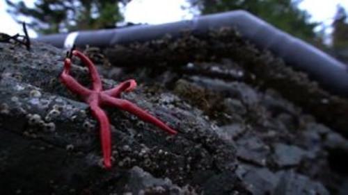 Background image for Water Works