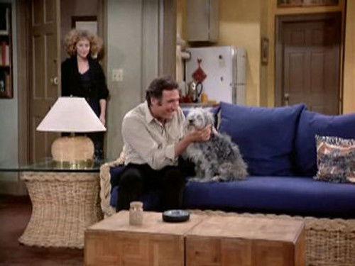 Taxi Season 5 Episode 14 - Alex's Old Buddy