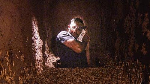 I'm a Celebrity...Get Me Out of Here! Season 17 Episode 2 - Critter-cal Rescue