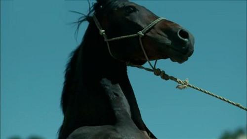 Big History Season 1 Episode 2 - Horse Power Revolution