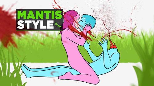 Background image for 8 Animal-Based Sex Positions You Probably Haven’t Heard Of