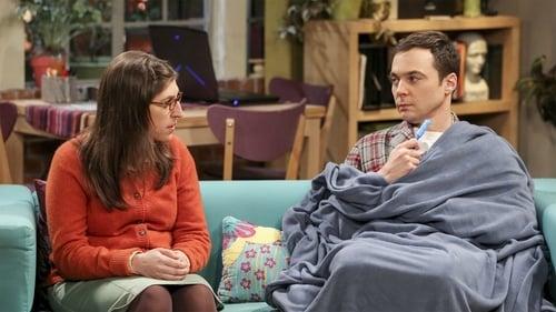 The Big Bang Theory Season 10 Episode 20 - The Recollection Dissipation