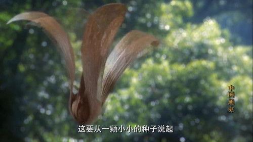 General History of China Season 1 Episode 3 - Episode 3