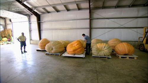 Shipping Wars Season 5 Episode 5 - We Come in Pieces!