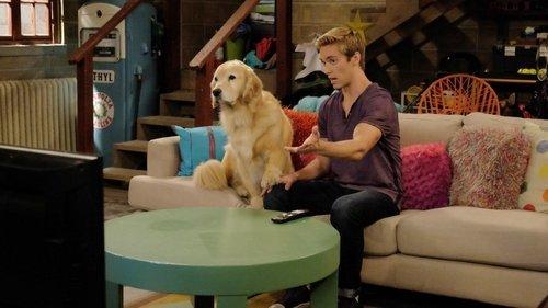 I Didn't Do It Season 2 Episode 15 - Doggie Daddy