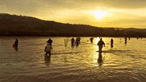 Oregon Field Guide Season 28 Episode 5 - Who's Watching Oregon's Wildlife, Slot Canyon Geology and Eulachon Smelt