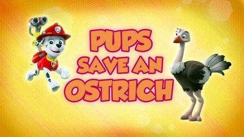 PAW Patrol Season 5 Episode 2 - Pups Save an Ostrich