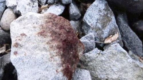 Background image for On the Rocks