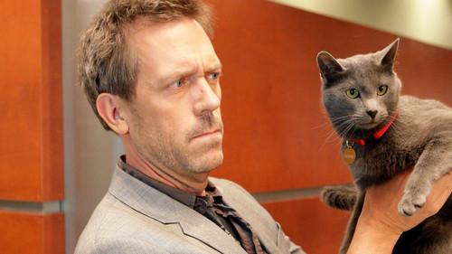 undefined Season 5 Episode 18 - Here Kitty