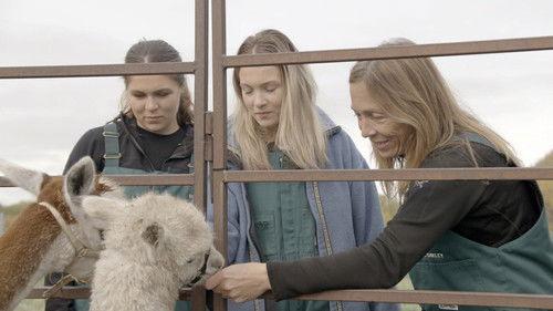 Dr. Oakley, Yukon Vet Season 9 Episode 7 - Spit and Run