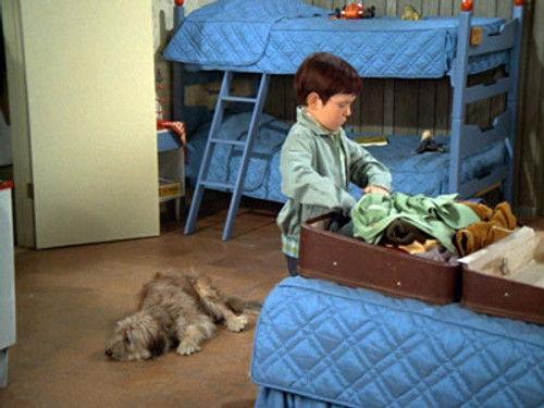 The Brady Bunch Season 1 Episode 10 - Every Boy Does It Once