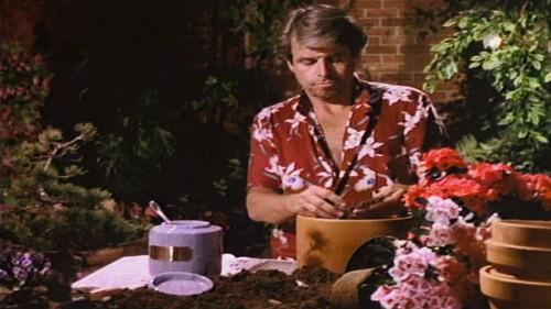 Knots Landing Season 9 Episode 3 - Under Pressure