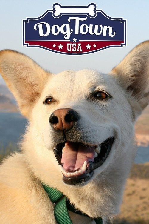 DogTown poster