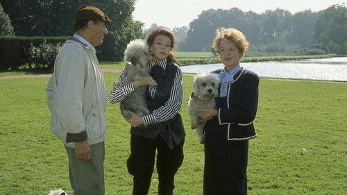 Rivalen der Rennbahn Season 1 Episode 4 - Verdacht