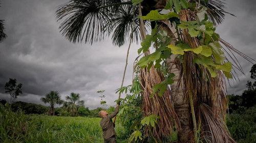 7 vs. Wild Season 5 Episode 12 - Episode 12