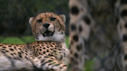 VICE News Tonight Season 7 Episode 18 - Thursday, May 11, 2023