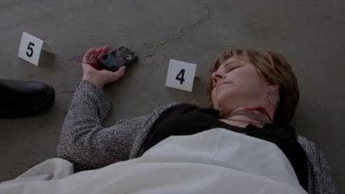 Criminal Minds Season 9 Episode 3 - Final Shot