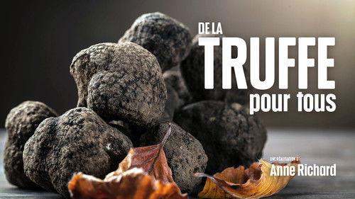 Le Doc du dimanche Season 9 Episode 11 - Episode 11