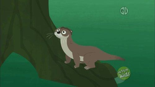 Wild Kratts Season 3 Episode 3 - Bandito: The Black-Footed Ferret