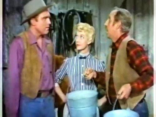 Background image for Rogue Stallion