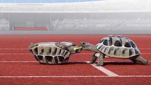 Athleticus Season 1 Episode 14 - Episode 14