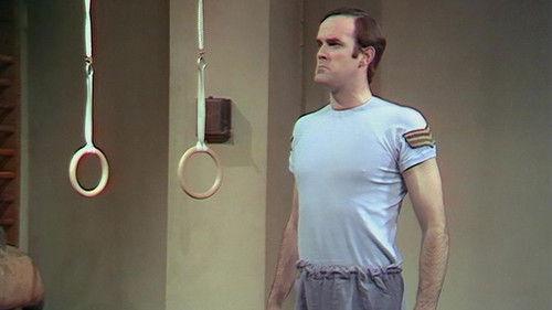 Background image for Owl Stretching Time