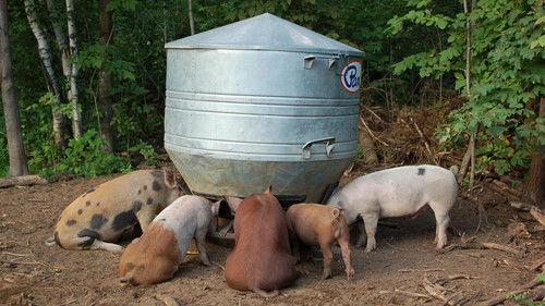 A Chef at the Shack Season 2 Episode 1 - Episode 1