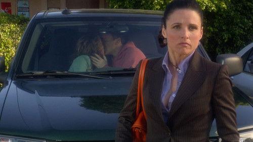 The New Adventures of Old Christine Season 1 Episode 1 - Pilot