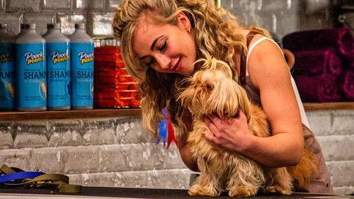 Pooch Perfect Season 1 Episode 1 - Episode 1