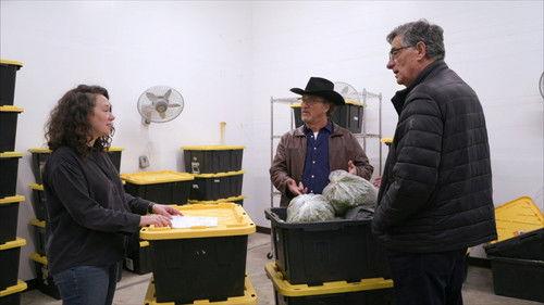 Growing Belushi Season 3 Episode 4 - Sweet Home Chicago