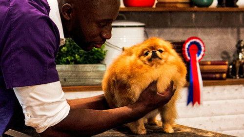 Pooch Perfect Season 1 Episode 4 - Episode 4