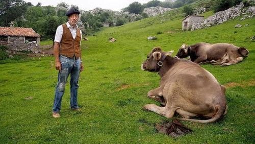 Gort over de grens Season 4 Episode 2 - Episode 2