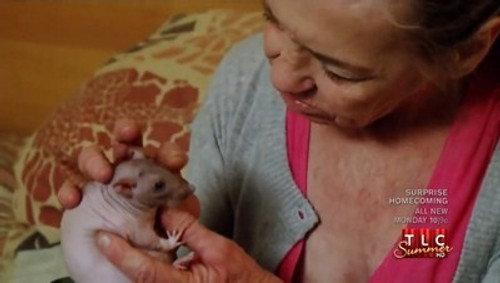 My Strange Addiction Season 2 Episode 1 - Rats, Extreme Fingernails