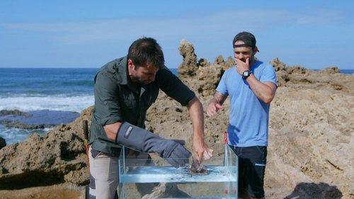 Kings of Pain Season 1 Episode 2 - Stinging Punishment