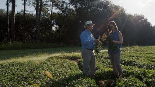 Rotten Season 1 Episode 2 - The Peanut Problem