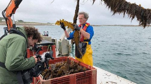 42: The Answer to Almost Everything Season 1 Episode 20 - Could Algae Save the Planet?