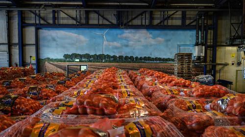 Backlight Season 21 Episode 6 - Episode 6