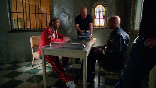 Background image for Dawg Days