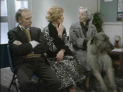 George and Mildred Season 4 Episode 6 - The Mating Game