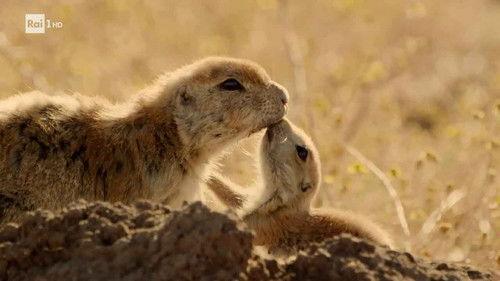 Superquark Season 28 Episode 7 - Discovering Mexico