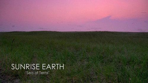 Sunrise Earth Season 1 Episode 5 - Sea of Terns