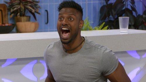 Big Brother Season 15 Episode 21 - Episode 21
