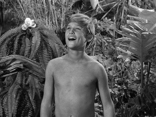 Gilligan's Island Season 1 Episode 19 - Gilligan Meets Jungle Boy