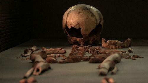 Background image for Episode 2