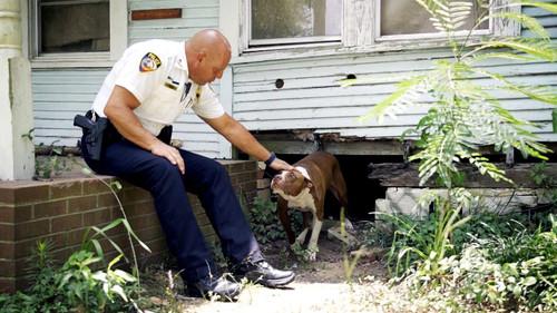 Der Germinator Season 1 Episode 2 - Episode 2